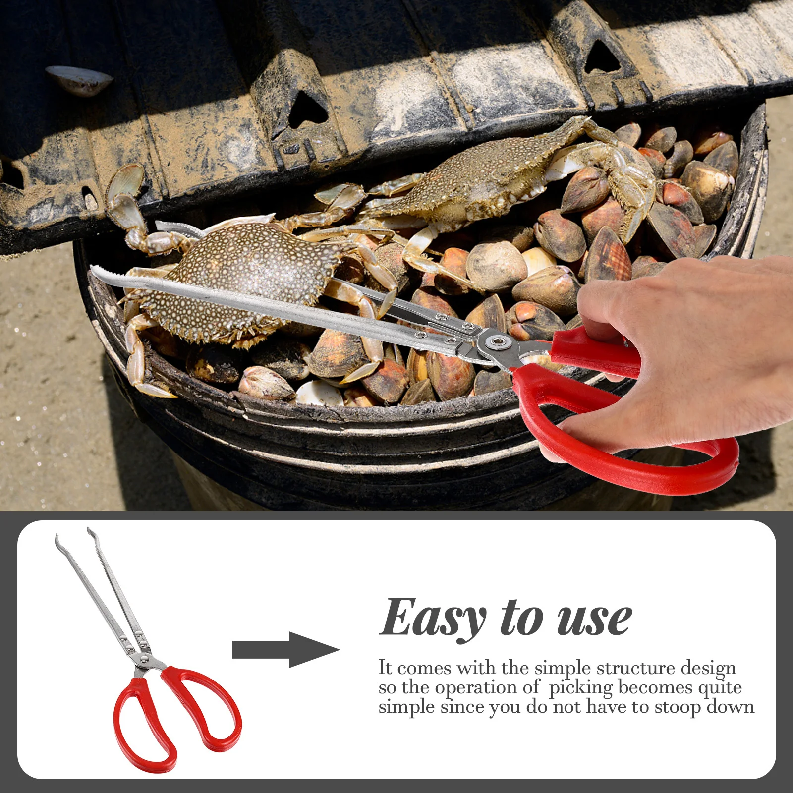 

Premium Catching Tool Multi-Function Crab Tong for Eel Octopus Mud Fish Secure Grip Lightweight Long Scissor Clip