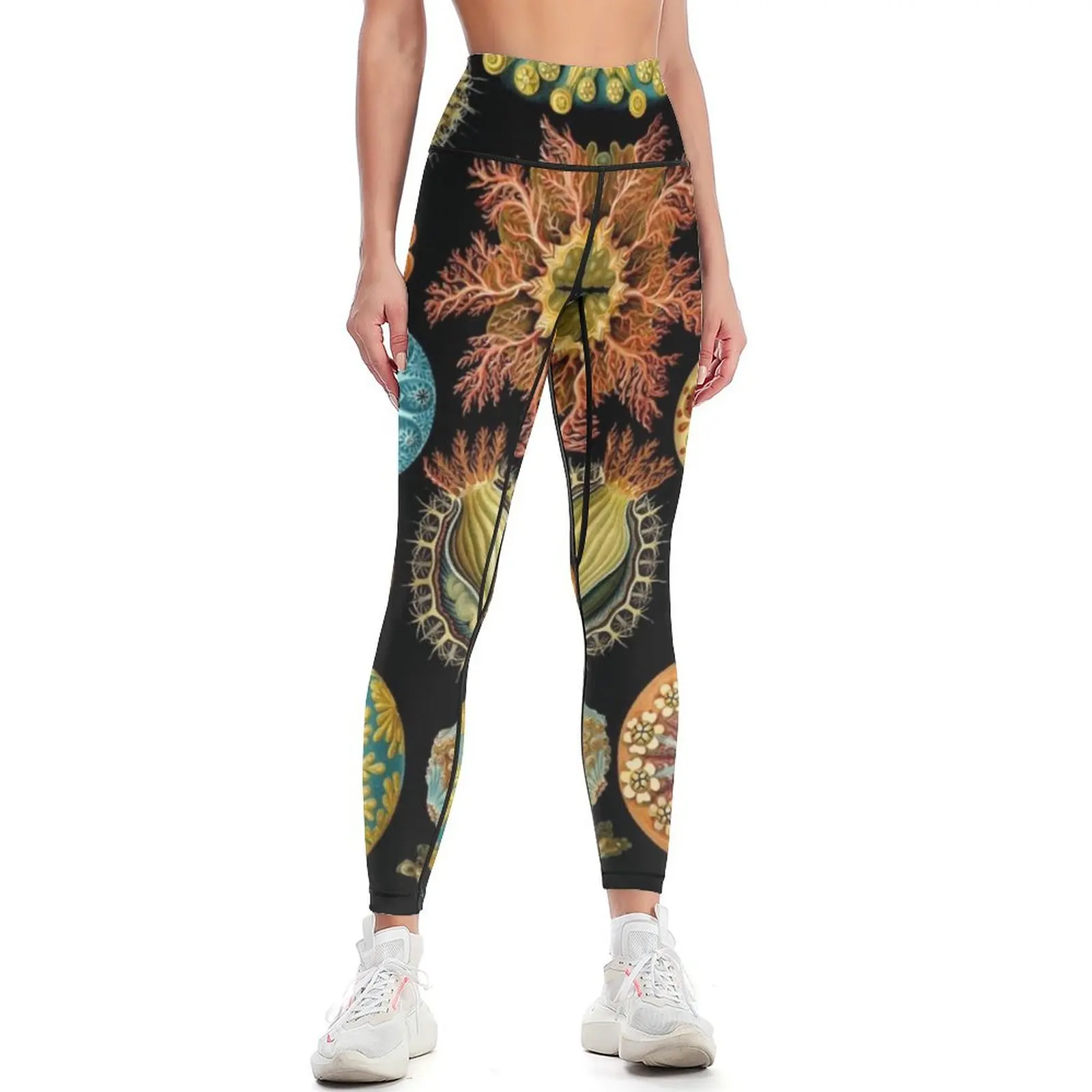 

Ernst Haeckel - Scientific Illustration - Ascidiae Leggings Fitness's gym clothes sport pants Clothing fitness Womens Leggings