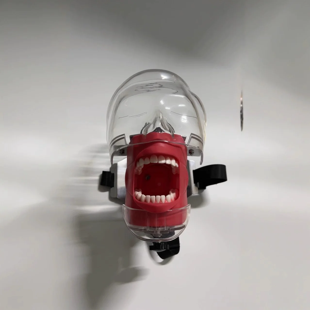 Dental Phantom Head with Teeth for Dentist Teaching Practice Training Apparatu Dentist Model Manikin Head Model Dental Simulator
