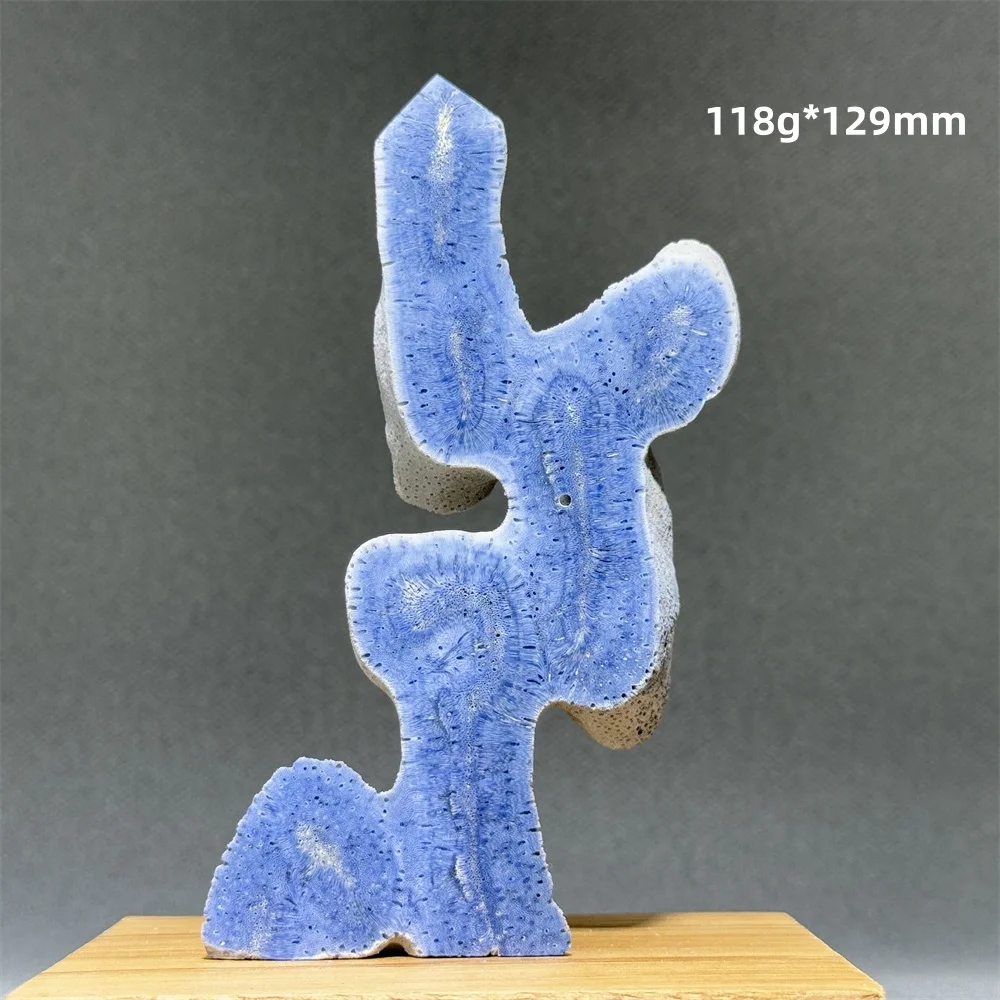 Blue Coral Free-Form Mineral Specimen Natural Quartz Reiki Therapy Chakra Meditation Home Office Room Decoration Precious Gift