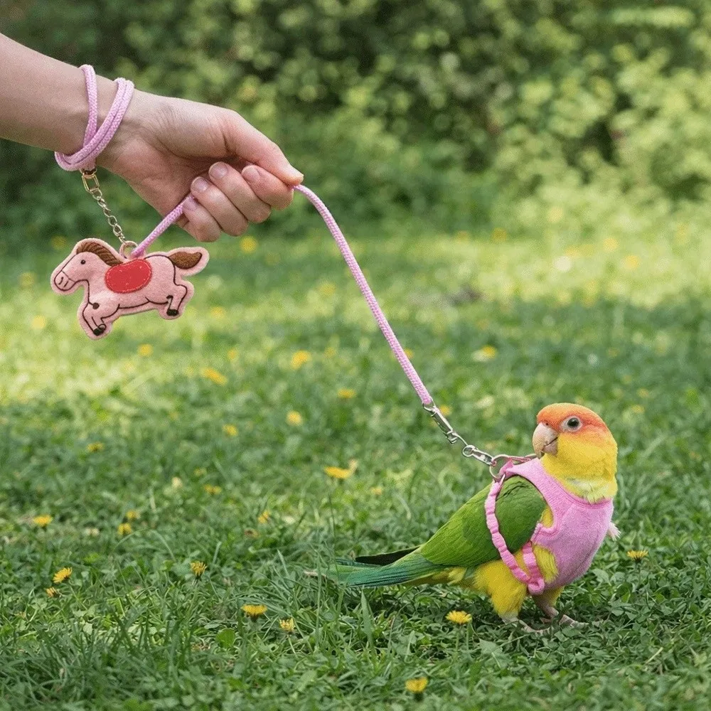 Anti-Bite Bird Harness Leash Adjustable Anti-flying Parrot Traction Rope Blessing Lightweight Bird Foot Chain Pet Training