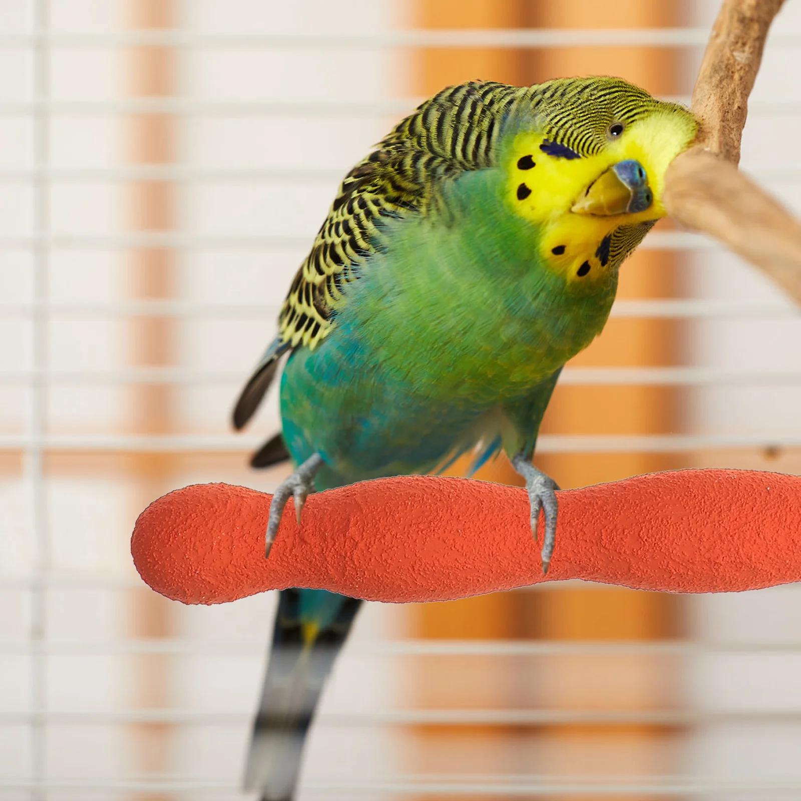 

20cm Bird Perch Natural Wood Rough Sand Grinding Nail Stand Foot Exercise Small Medium Large Birds African Grey