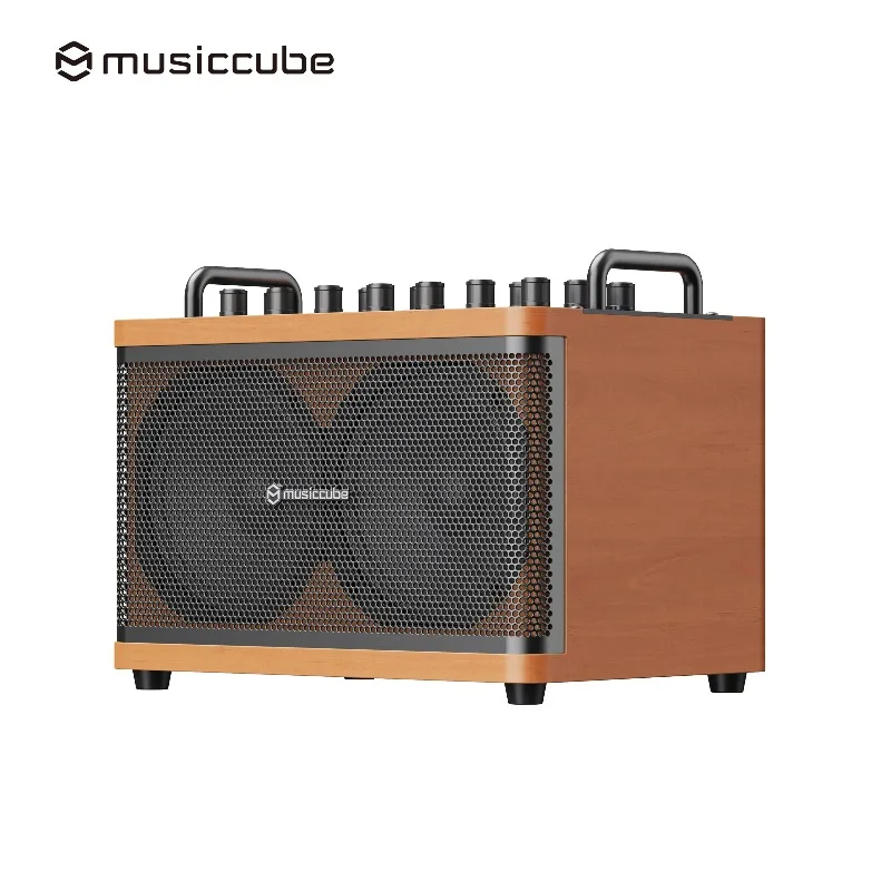 Musiccube D2MAX Factory OEM Guitar Amplifier Professional 4 Inch 100W Bass Amplifier Speaker Sound Equipment for KTV Stage