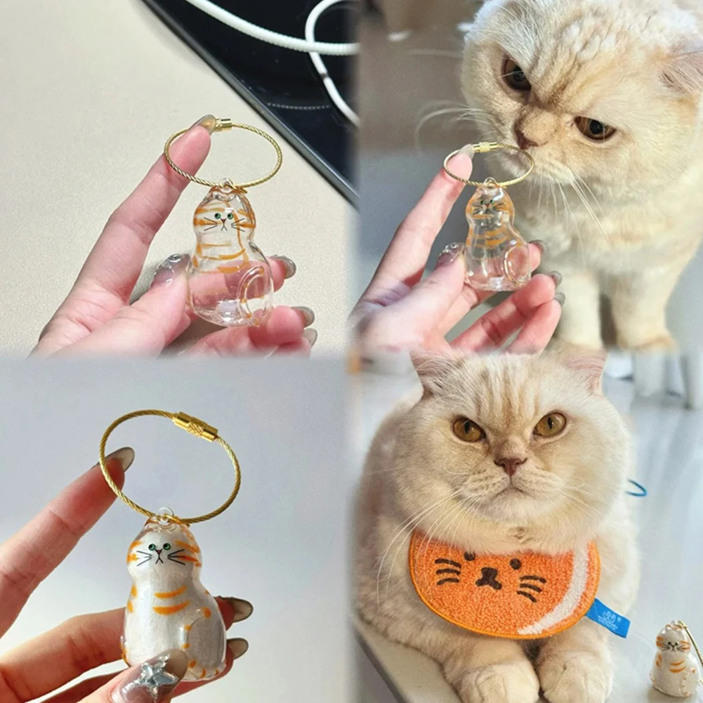 

Прозрачный мех домашних животных, капсула на память, брелок для кошек, бутылка для хранения волос для кошачьего меха, мемориальный подарок «сделай сам» для любителей домашних животных
