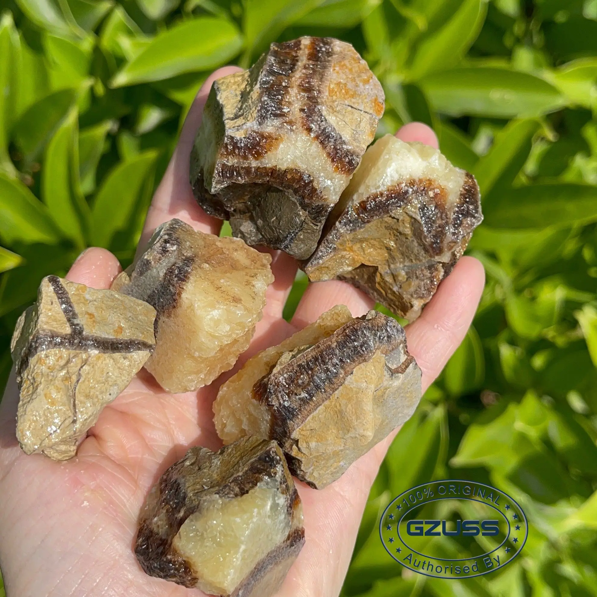 3-5cm Rough Septarian Chunk Raw Septarian Piece Natural Septarian Crystal Rough Septarian Rock Rough Septarian Chunk Root Chakra