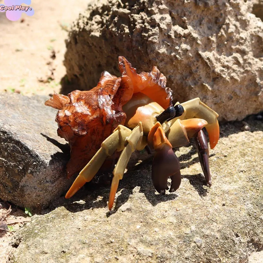 

Realistic Animal Model Hermit Crab Model Hermit Crab Sea Life Toys Figurines Plastic Marine Plastic Toys Early Educational