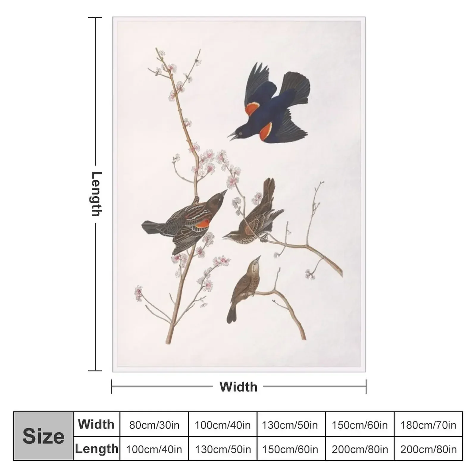 Red-winged Blackbird / Vintage birds prints and patterns Throw Blanket couch cozy soft plush fuzzy picnic outdoor blanket