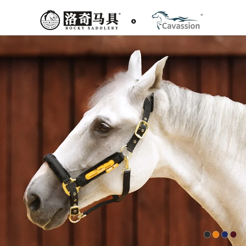 Solo cuello Halter de caballo sin cubierta de oreja, protección ecuestre, equipo de equitación, halters de uso