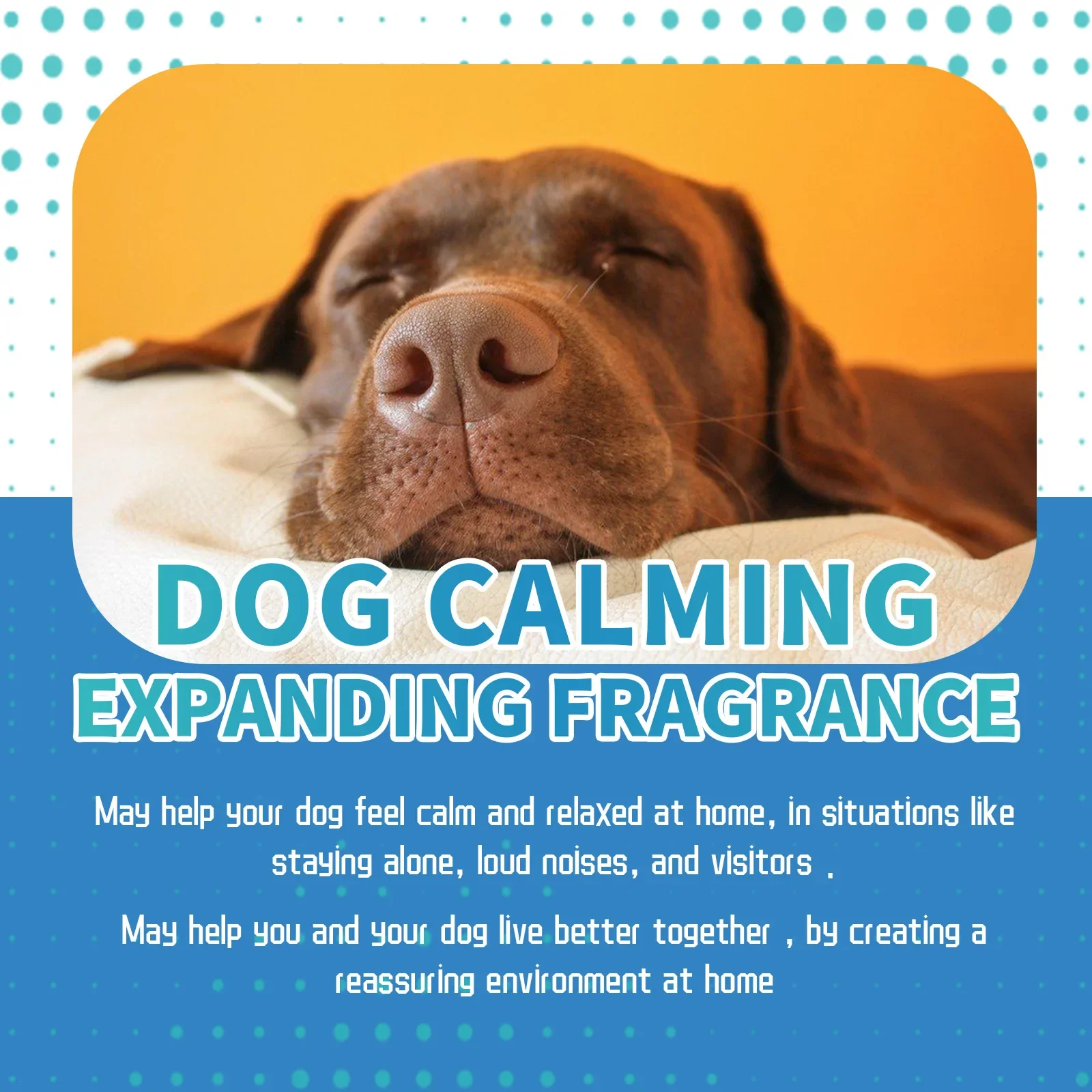 Pet Calming Liquid Dog Emotions Relief Noise Reduction Train Anti Anxiety Fighting Calming Diffuser Manage Cat Calm down Fluid