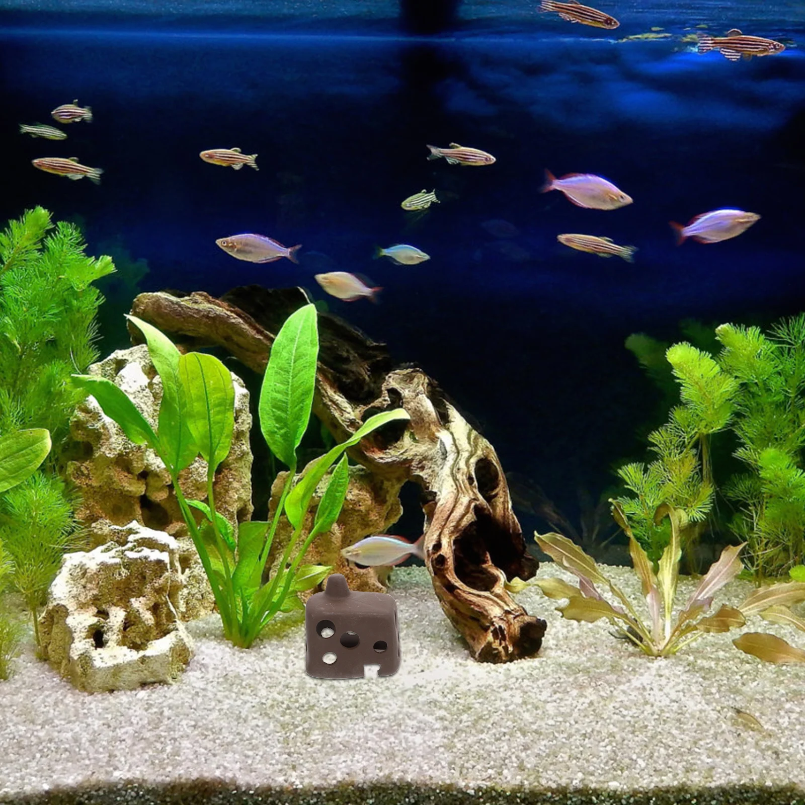 

1Pcs Fish Tank Hideout Natural Porous Aquarium Cave Shelter Decorative Pottery Pot Shrimp House Fish Breeding Supplies Aquarium