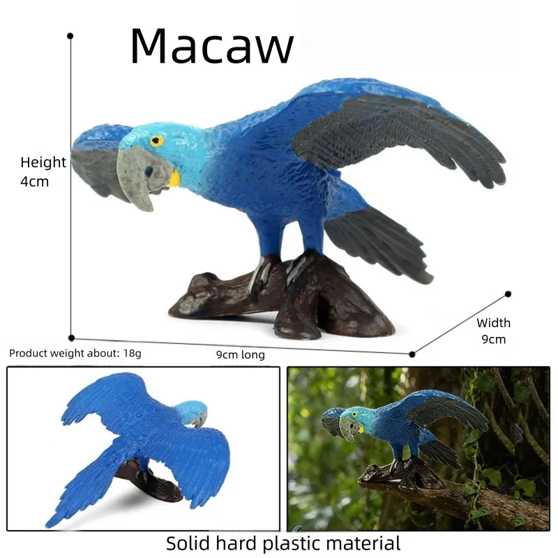 Oenux Realistic Ostrich Kiwi Pelican Macaw Toucan Lovebird Bird Figurines Solid Plastic Models for Collection Desktop Decor