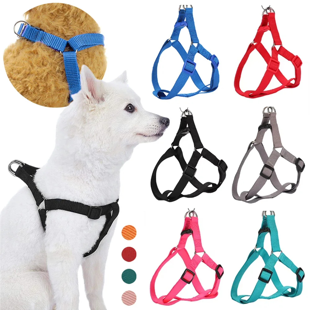 #20 Ranked Adjustable Pet Collars Picks in 2026