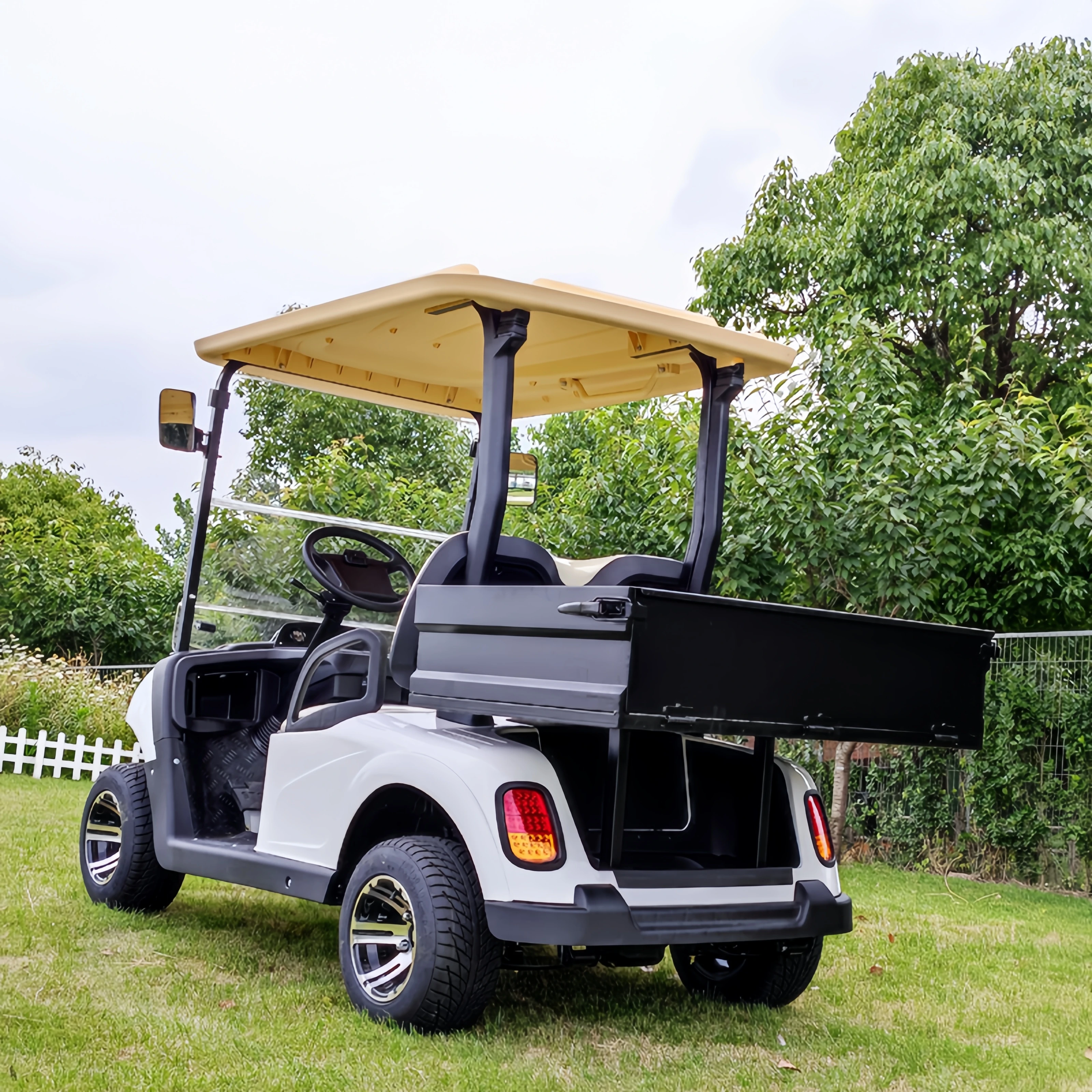 2025 جديد 4 أشخاص بطارية الرصاص الحمضية على الطرق الوعرة الكهربائية الصيد عربة جولف الشارع القانوني الكهربائية على الطرق الوعرة مركبة EEC/DOT شهادة #6