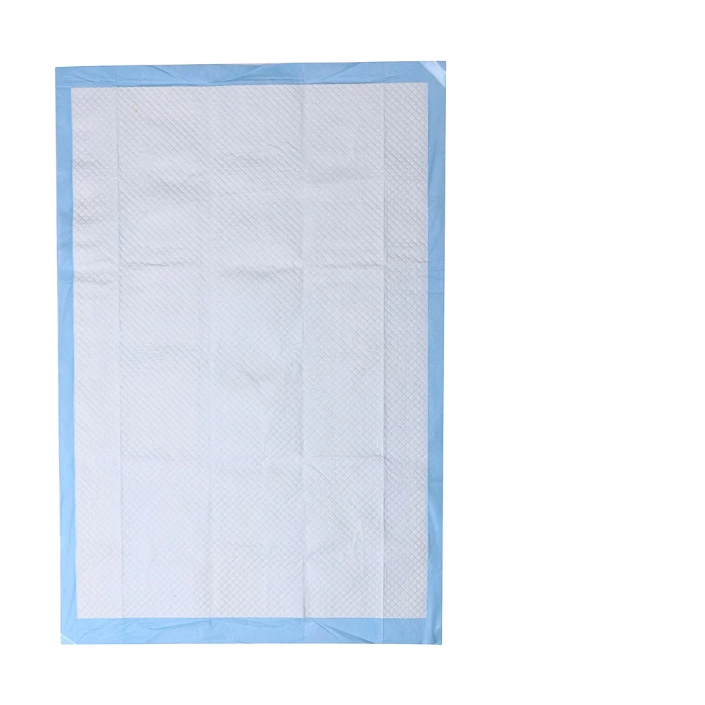

20Pcs Pet Training Urine Pad Super Absorbent Quick-Dry Antibacterial Deodorant for Puppy Dogs Indoor Use Housebreaking Pads