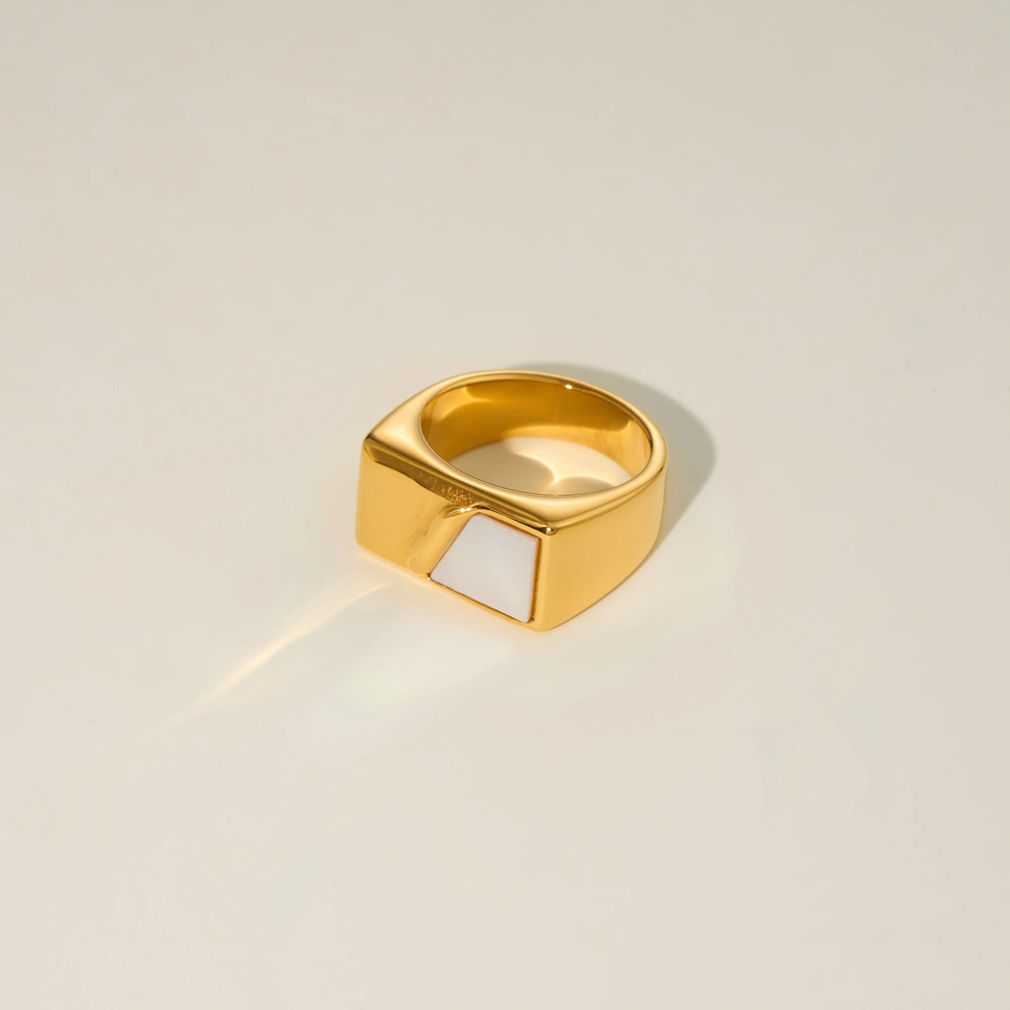DASEIN 2025 New Punk Geometric Shell Designer Ring 18k PVD Gold Plated Stainless Steel Vintage Runway Hip Hop Jewelry Gift