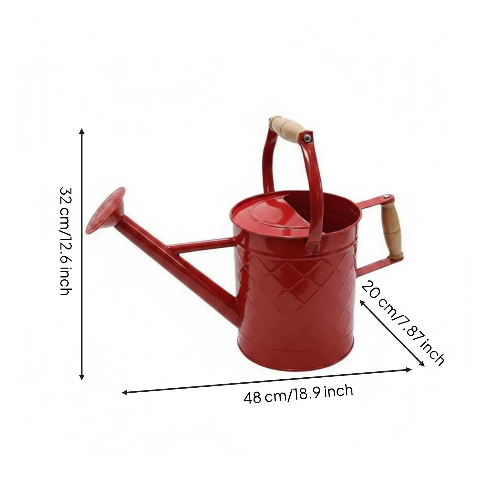 Arrosoir en métal de grande capacité pour jardin, avec pomme de douche amovible