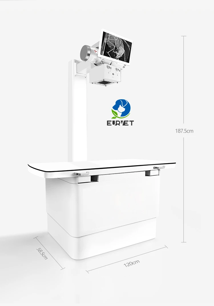 EUR VET Best Price DR Digital X-ray Flat Panel Detector Veterinary Equipment 32kw Veterinary X-ray Machine for Hospital