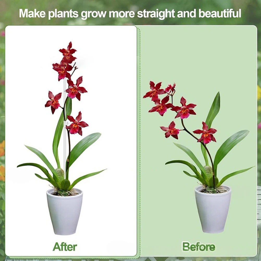 

For Vegetable Growth Flexible Garden Stakes Acrylic Orchid Stakes Garden Use 28 Cm 30 Piece Set Enhances Garden Aesthetic