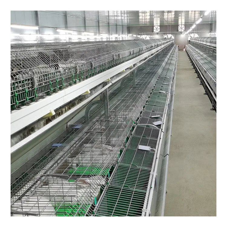 New Energy European-style Rabbit Cage Hot Dipped Galvanized Steel 48 Units Capacity 2-4 Tiers Long Service Life