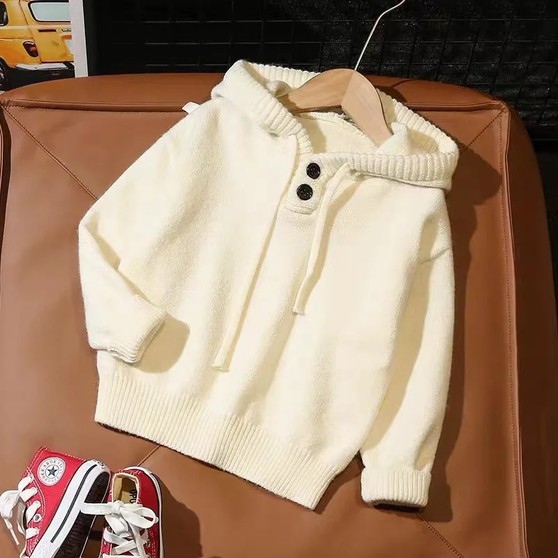 Boys Woolen Sweater Cotton Knitting 2022 Hooded Warm Thicken Velvet Winter Autumn Christmas Children\'s Clothing