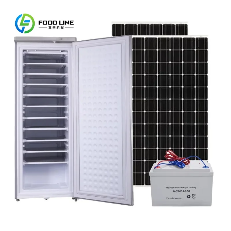 Customized Industrial Off-Grid Ice Block Maker, 198L Solar Powered 12/24V DC AC Compressor Machine for Ice Mass Production