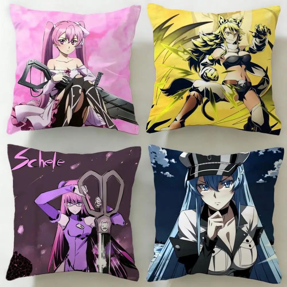 Classic Anime Akame…