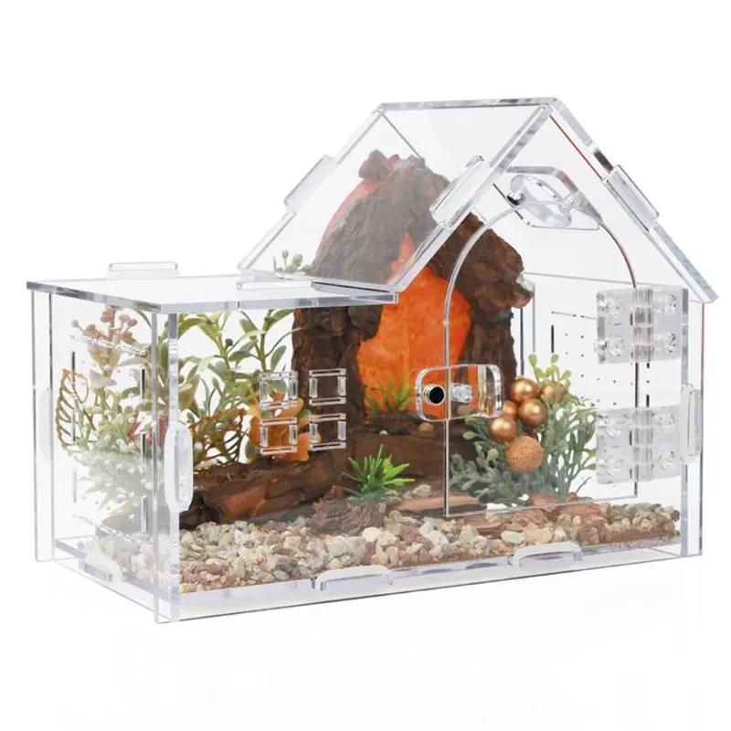 

HRBAJ-корпус для рептилий для тарантул, геккона-хамелеона, жука-моголы и краба-отшельника, универсальный акриловый корпус для прыжкового паука