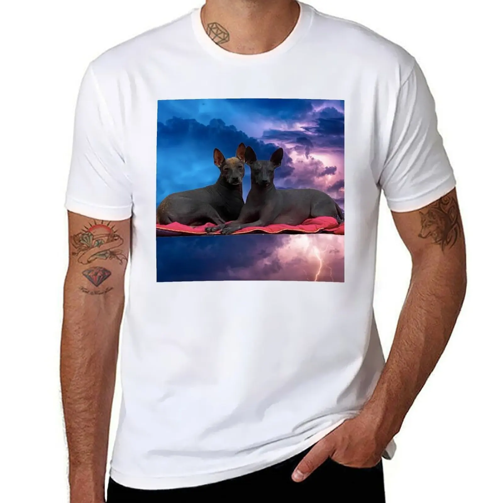 

Xolos in a storm T-Shirt t shirt for man man t shirt graphic T-Shirt