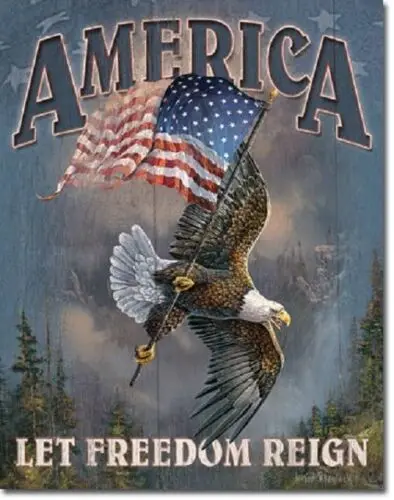 America Let Freedom Reign Proud American Patriotic Made USA 12x16 Metal Tin Sign