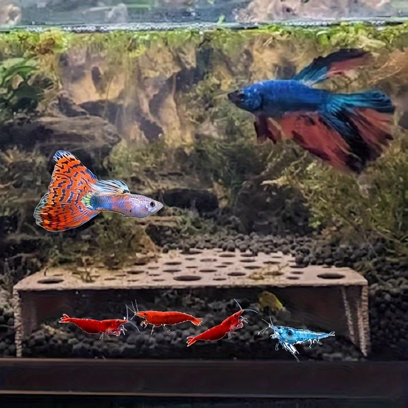 

Aquarium cave Shrimp Breeding Protector | Shrimp Breeding Cave Aquarium Tunnel