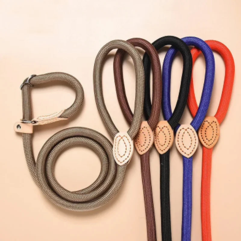 #55 Latest Dog Leads Offers