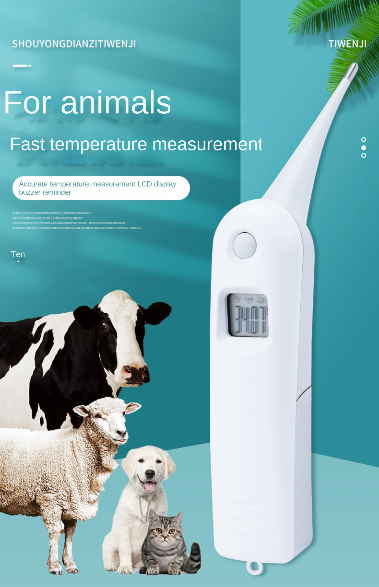 1 Stück Professionelles Elektronisches Rektalthermometer für Haustiere (Katzen, Hunde) – Schnelltest für Klinik, Zuhause, Veterinärmedizin, Tierhaltung – Detail 1