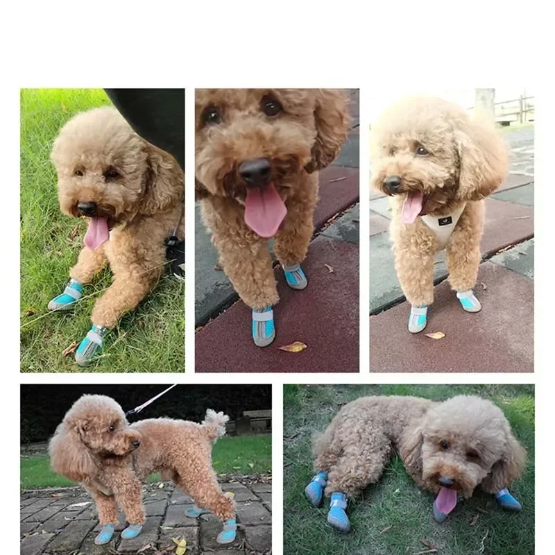 4pcs/set Small Dog Hiking Dog Shoes Summer Non-slip Rain Boots Outdoor Foot Protection Breathable Cat and Dog Socks Pet Supplies