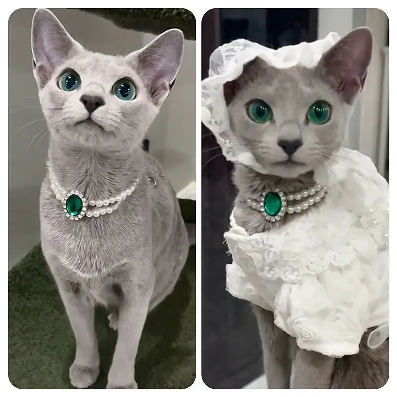 Original internet celebrity cat pearl necklace pet collar jewelry water droplet pendant cat jewelry