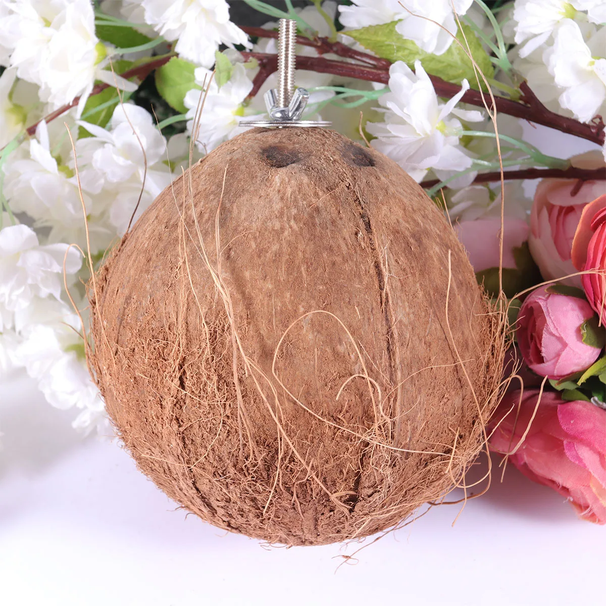 

Coconut Shell Nest For Hamsters Squirrels Birds Natural Pet Sleeping Cave Durable Hanging Animal Hideout Bed Small Pet