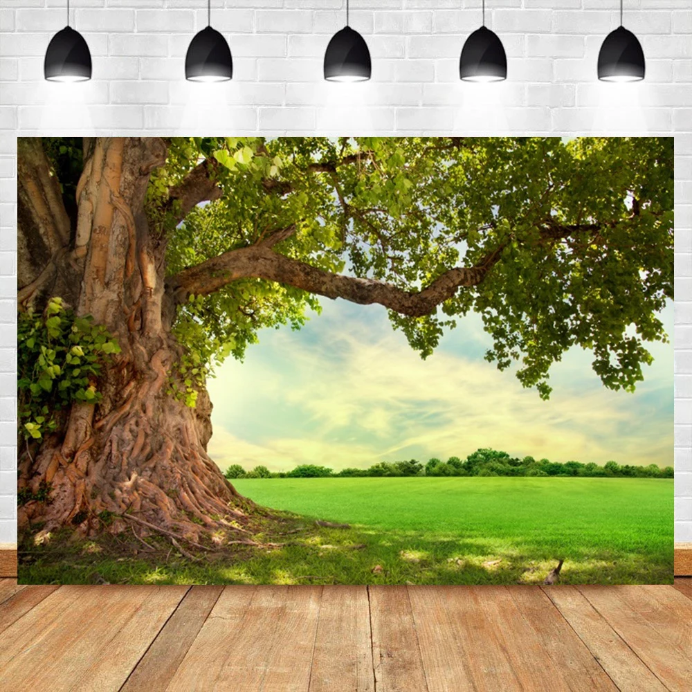 Laeacco الأخضر الغابة الغابات المطيرة الغابات الاستوائية شجرة شجيرة المشهد الطبيعي التصوير خلفية خلفية صور دعوة استوديو الصور