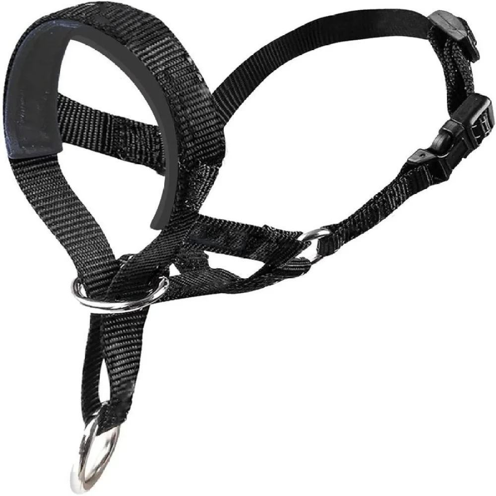 Breathable Dog Head Collar Short Snout Training Lead Gentle Control Harness For Bulldog Pug Pet Anti Pulling Nose Loop Leash