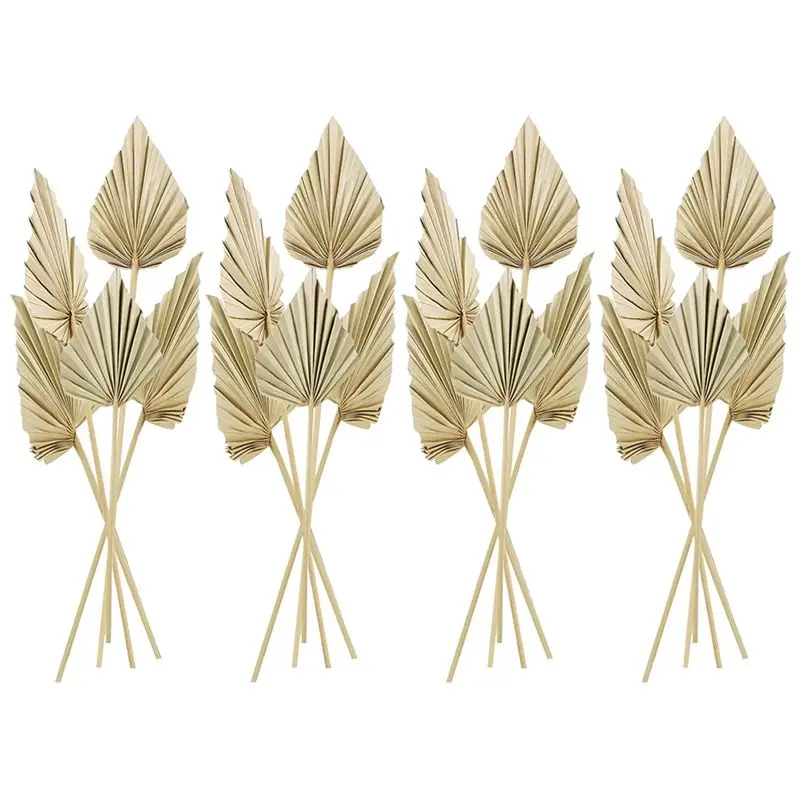 SDFC-20Pcs Boho Dried Palm Spears Leaves Dried Palm Leaves With Stem Dried Leaf Decor Vase