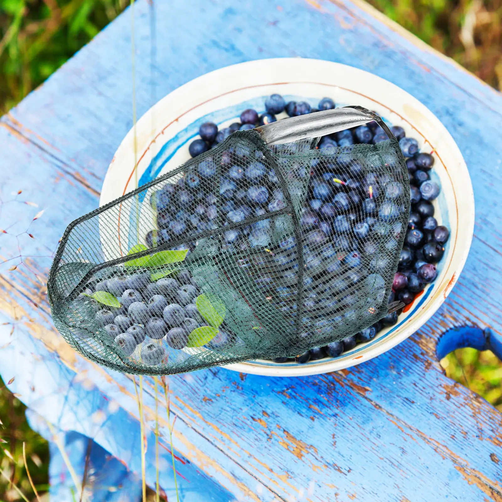 

Portable Blueberry Picker Fruit Harvester Lightweight Garden Tool for Efficient Berry Harvesting Outdoor Fruit Picking Device