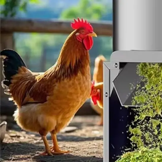 

Automatic Breeding Farm Vegetable Fruit Shredder Machine for Animal Feed Processing Machine Grinder Crusher Grater