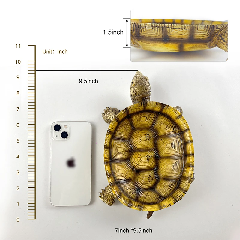 Imagem -05 - Caixa de Armazenamento Resina Tartaruga Bacia Decoração para Casa Decorações Tigela Acessórios Escultura Estátua Sala Estar