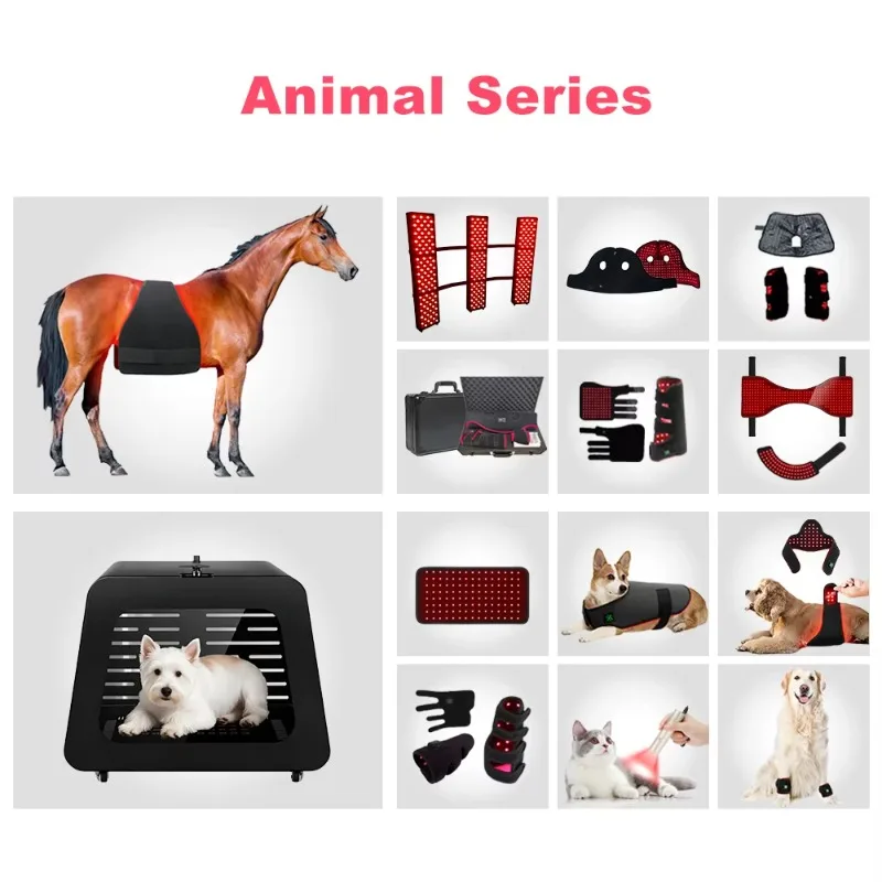 Equine Red Light Back Therapy Veterinary Instrument Full Body Infrared Light Therapy Blanket Red Light Therapy Horse