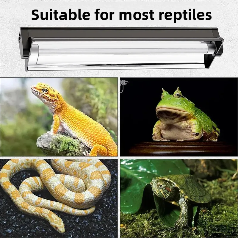 T5 UVB-Röhre mit integrierter – Calcium Powder Reptile Bewertung und Preis