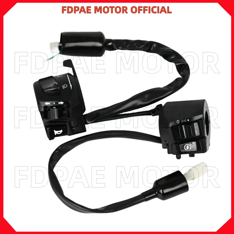 Left / Right Handle Switch for Wuyang Honda Wh150-3-3a-3b-3c