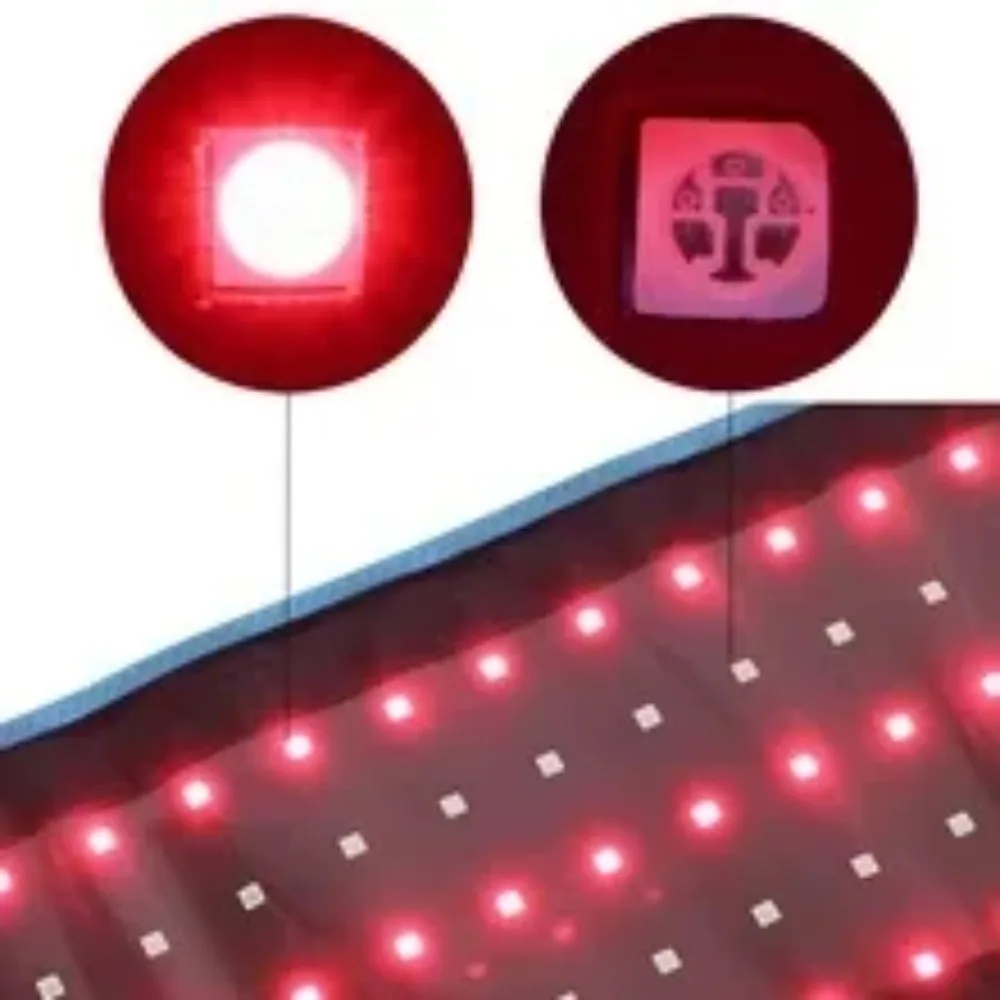 

Portable Red Light Therapy Belt 660nm 850nm Infrared for Waist Back Pain Relief and Muscle Recovery
