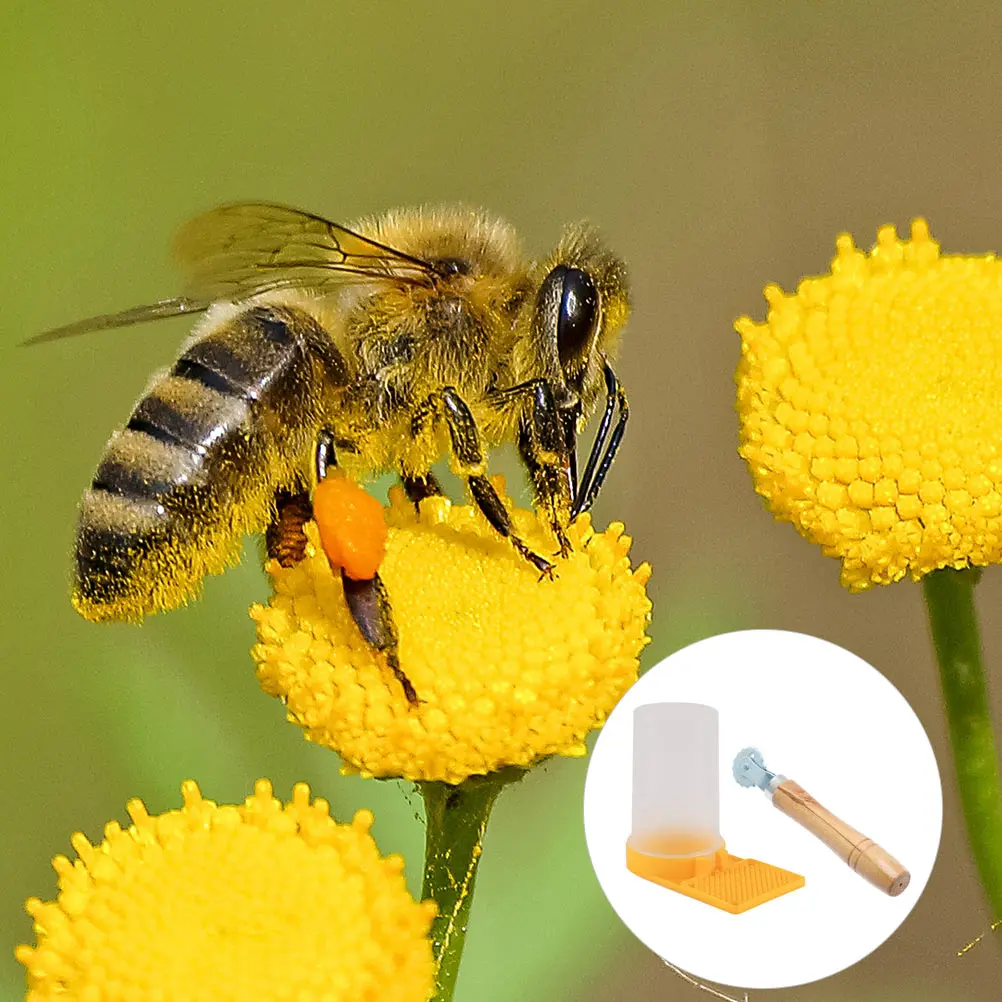 

2 Pcs Beehive Entrance Large Capacity Water Nest Door Food Supplies Plastic Feeder Drinking Box Bee Food Feeder Bee Supplies