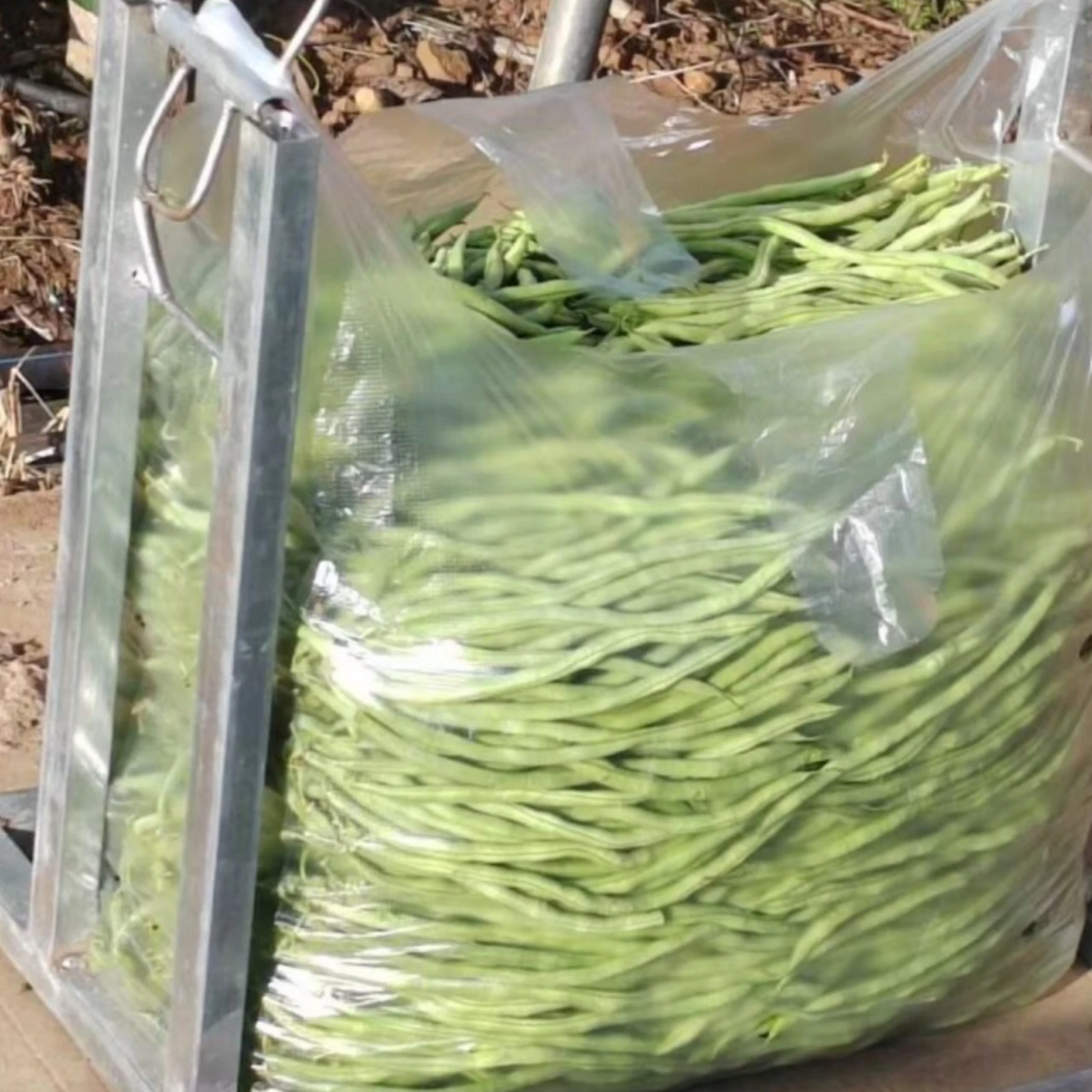 

Vegetable Bag Frame Welded Metal Packing Stand Bean Bag Holder Loop Handle Farm Tool Industrial