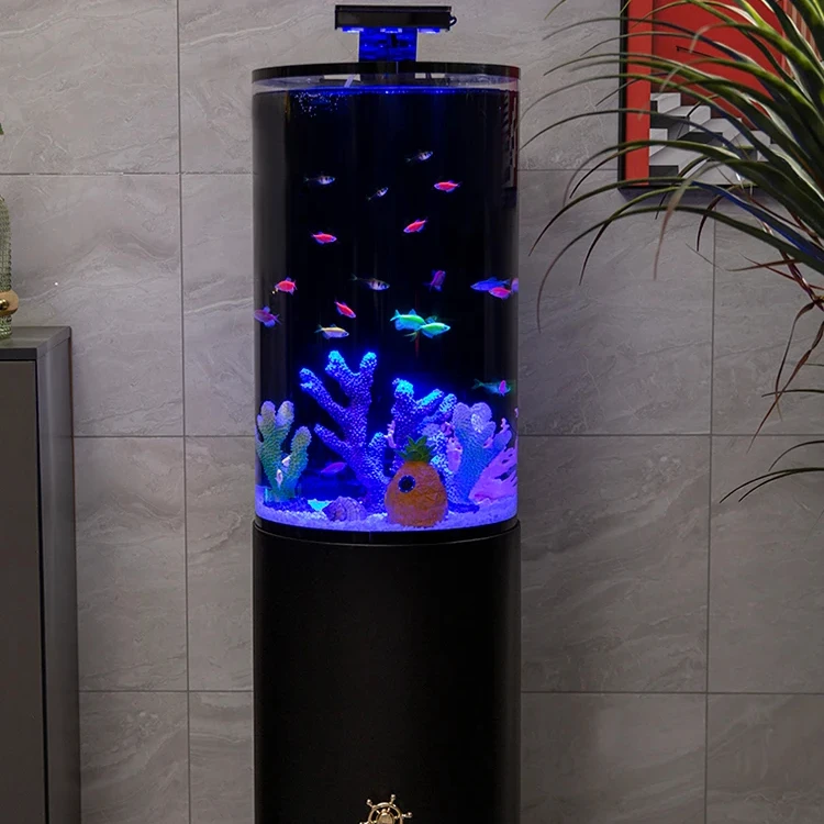 Aquarium Fish Tank …