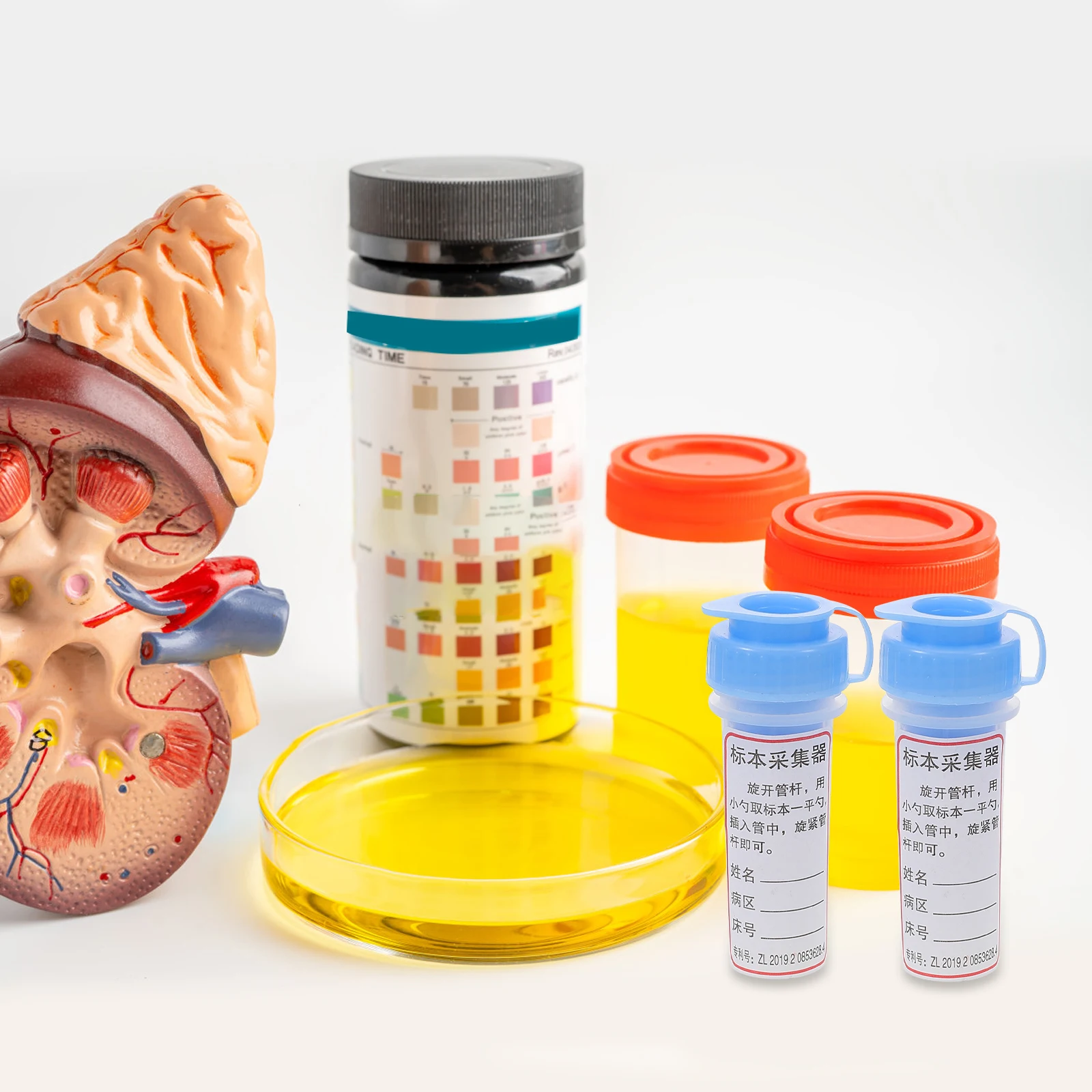 

20pcs Stool Cups Fecal Sampling Cups Spoon Lid Containers Sample Bottles Plastic Vials Safe Reliable Accurate Scale Design
