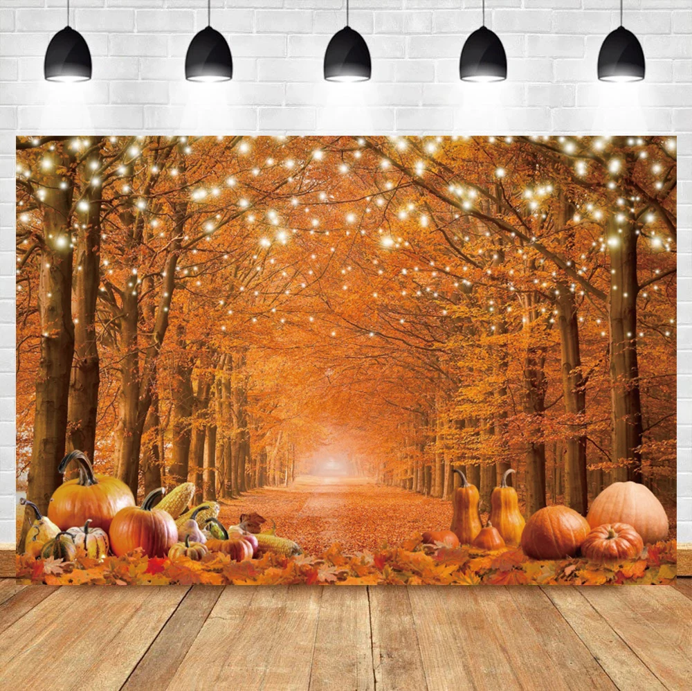 Laeacco outono maple floresta folhas caídas abóbora paisagem foto fotografia fundo fotográfico para estúdio de fotos